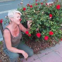 ����, ������, 61 ���