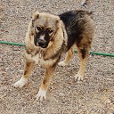 ���� �����, ����, 61 ��� - ��������� 7 �������� 2014