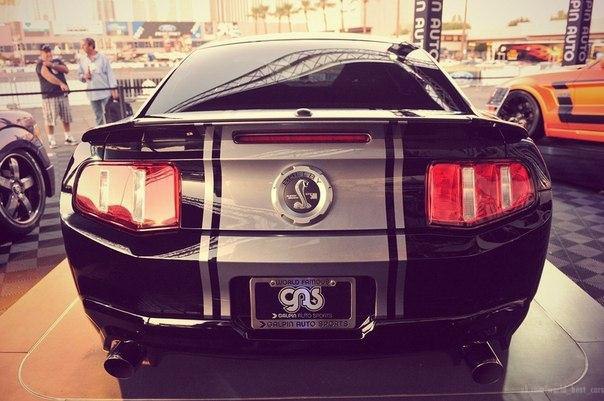 Ford Mustang Shelby GT500 - 2