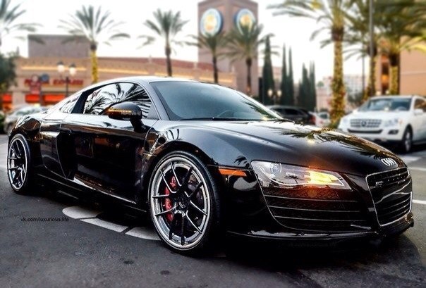 Audi R8