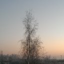  , , 51  -  3  2014    
