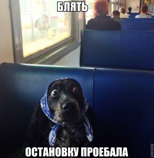 ������ ������� - 17 �������� 2014 � 01:46