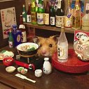 ���� ���������, ��������� - ��������� 12 ������ 2014 � ������ ������ ��������