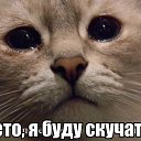 ���� Yuri, ������� ����, 58 ��� - ��������� 28 ������� 2014 � ������ ������ ��������