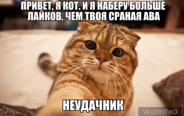 :3