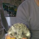 ���� ������� �������������, ������, 38 ��� - ��������� 18 ������� 2014 � ������ ���� ����������