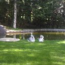 ���� �������, �������, 62 ���� - ��������� 27 ������� 2014 � ������ ���� ����������