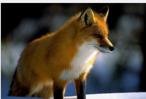 •°https://fotostrana.ru/away?to=/sl/68D2 - 28  2014  16:20