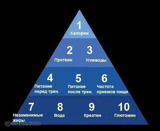 Пирамида мышечного роста.Тотальное наступление на мышечную массу может легко провалиться, если вы ...