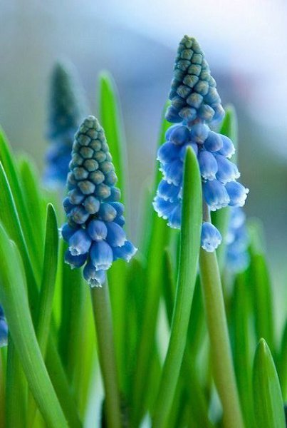 В опасном месте, где бы ты ни был, лучше остановиться и оглядеться. В любой ссоре, как бы далеко она ... - 3