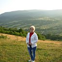 ����������, ���� 2014 �. �� ������� ���� ����������