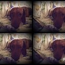 ���� Kristina, ������, 32 ���� - ��������� 1 ������ 2014 � ������ ������ ��������