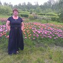 ���������� �� ������� ���� ����������