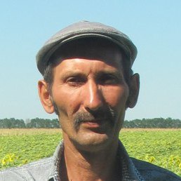 ��������, �����������, 65 ���