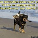 ���� �����, ������� ������ - ��������� 1 ������ 2014 � ������ ������ ��������