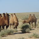 ���� ����, ��������� - ��������� 9 ������ 2014 � ������ �������