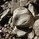 ���� _�����������_, ������ - ��������� 7 ������� 2014 � ������ ������ ��������