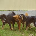 ������� ����!!! ������ ��������. �� ������� �������� �����)�