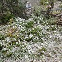 ���� ������, ������, 52 ���� - ��������� 3 ������� 2014 � ������ ���� ����������