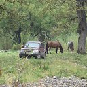 ���� ���������, ���������, 60 ��� - ��������� 6 ������� 2014 � ������ ���� ����������