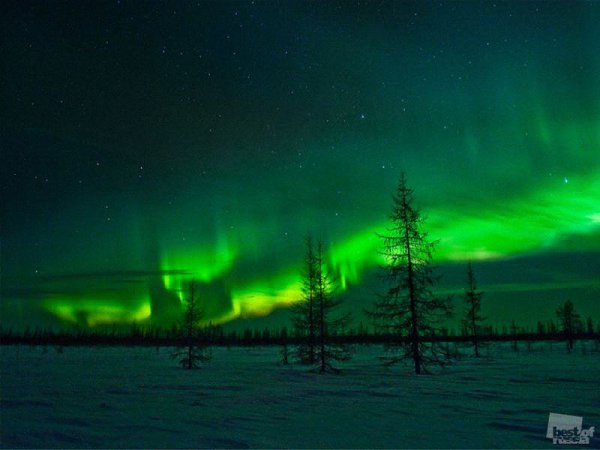 Крайний Север-северок... Ветер гонит из-под ног Мёрзлые снежинки, Жёсткие, как льдинки. Там при ...