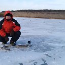 ���� �����, �����, 35 ��� - ��������� 11 ������� 2014 � ������ ���� ����������