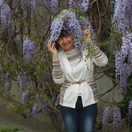 ���� ������, ��������������, 61 ��� - ��������� 22 ������ 2014