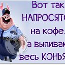 ���� ����, �����, 71 ��� - ��������� 29 �������� 2014 � ������ ������ ��������