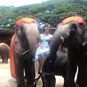 ���� �����, ���������, 55 ��� - ��������� 6 �������� 2014