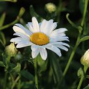 ���� ���������, ����� - ��������� 19 ������� 2014 � ������ ���� ����������