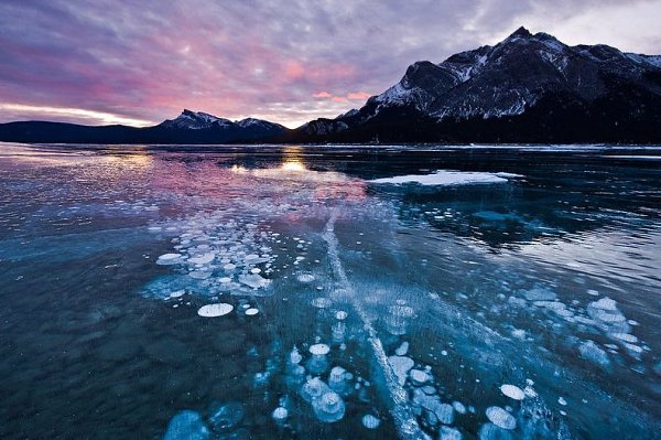  .  (Abraham Lake)     .   ... - 5