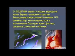 Лецитин