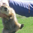 ���� ������, ���������� �����, 45 ��� - ��������� 19 ������ 2014 � ������ ���� ����������