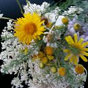 ���� �������, ���������� - ��������� 10 ������� 2014 � ������ ���� ����������