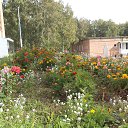 ����� � ������... �� ������� �����������