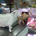 ���� ������� ���������, ������ - ��������� 18 ������� 2014 � ������ ������ ��������