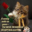 ���� ������, �����, 69 ��� - ��������� 15 ������ 2014 � ������ ������� �������