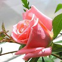 ���� ������, ��������� - ��������� 27 ������ 2014 � ������ ������ ��������