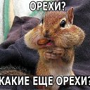 ���� .....����, ��������, 53 ���� - ��������� 31 ������� 2014 � ������ ������ ��������