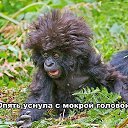 ���� ���, ���������, 42 ���� - ��������� 23 ������� 2014 � ������ ������ ��������