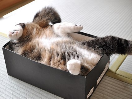  :3