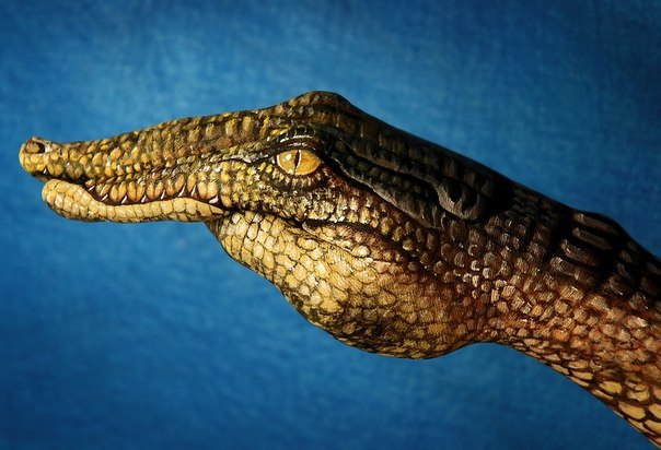  -    (Guido Daniele) - 8