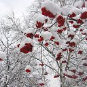 ���� ����, ����������, 72 ���� - ��������� 27 ������� 2014 � ������ ������ ��������