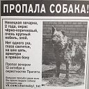 ���� �����, ��������� - ��������� 8 ������ 2014 � ������ ������ ��������