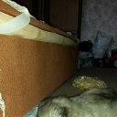 ���� �������, ���������, 39 ��� - ��������� 17 ������ 2014 � ������ ���� ����������