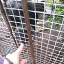 ���� ������, ���������� �����, 45 ��� - ��������� 19 ������ 2014 � ������ ���� ����������