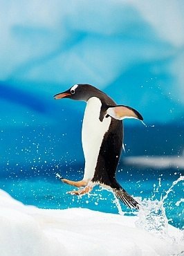 ����� ������� - 3 ������ 2014 � 15:08 - 4