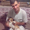 ���� ������, �������, 64 ���� - ��������� 31 ������� 2014 � ������ ���� ����������