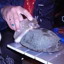 ���� ������, ������, 56 ��� - ��������� 5 �������� 2014