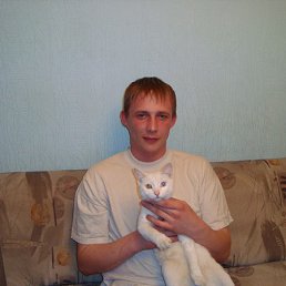 ������, ���������, 41 ���